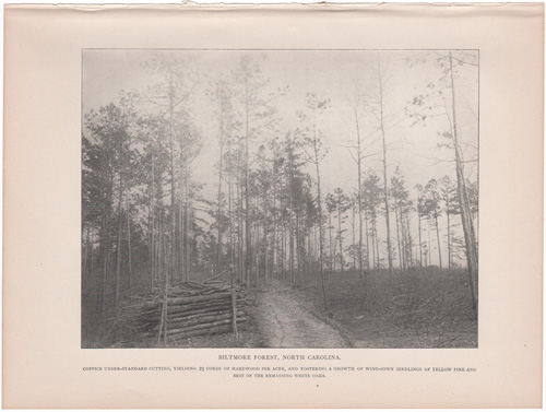 Biltmore Forest, North Carolina